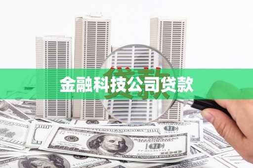 港口金融科技公司贷款