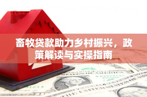 港口畜牧贷款助力乡村振兴，政策解读与实操指南