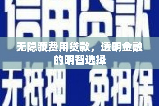 港口无隐藏费用贷款，透明金融的明智选择