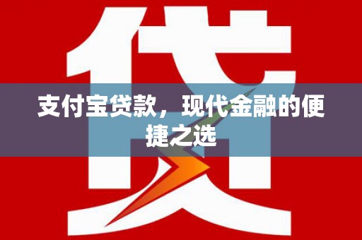 港口支付宝贷款，现代金融的便捷之选
