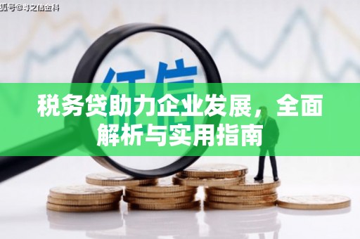 港口税务贷助力企业发展，全面解析与实用指南
