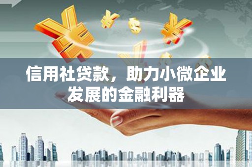 港口信用社贷款，助力小微企业发展的金融利器