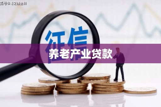 港口养老产业贷款