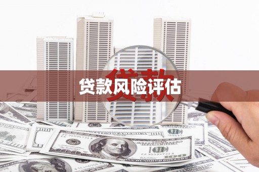 港口贷款风险评估