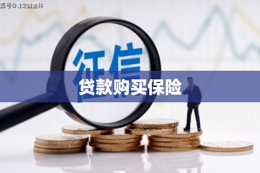 港口贷款购买保险