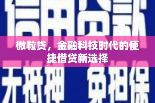 港口微粒贷，金融科技时代的便捷借贷新选择