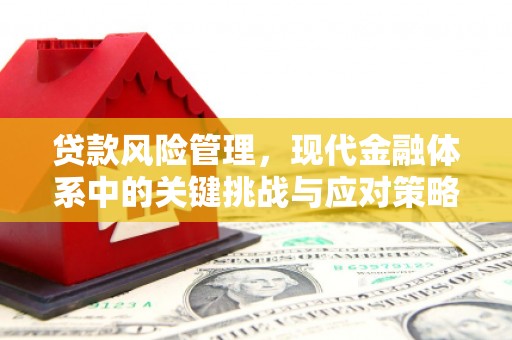 港口贷款风险管理，现代金融体系中的关键挑战与应对策略