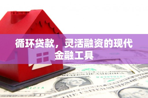 港口循环贷款，灵活融资的现代金融工具