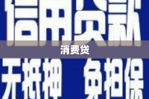 港口消费贷