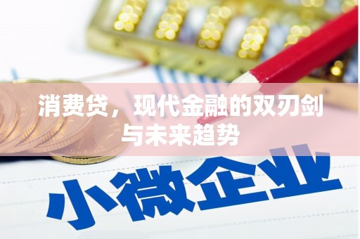港口消费贷，现代金融的双刃剑与未来趋势