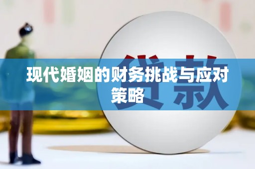 港口现代婚姻的财务挑战与应对策略